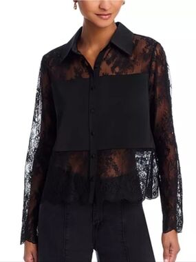 Aqua Black Sheer Lace Button-Up Blouse